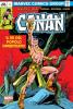 Conan Omnibus: L'Era Marvel - 5