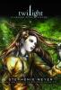 Twilight - La Graphic Novel - 1