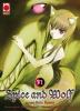 Spice And Wolf - 6