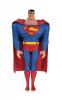 Justice League Animated Series Action Figures (DC Collectibles) - 1