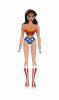 Justice League Animated Series Action Figures (DC Collectibles) - 3