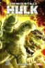 Hulk - Marvel Collection - 11