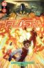 Flash (2020) - 41