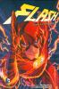 Flash - New 52 Limited - 1