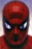 Spider-Man/L'Uomo Ragno - 700